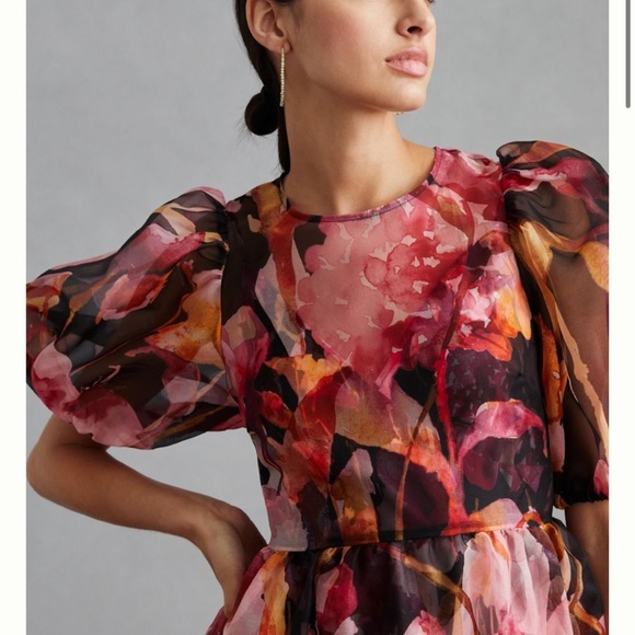 Anthropologie puff sleeve organza dress xs “ needs a slip” - Picture 3 of 8